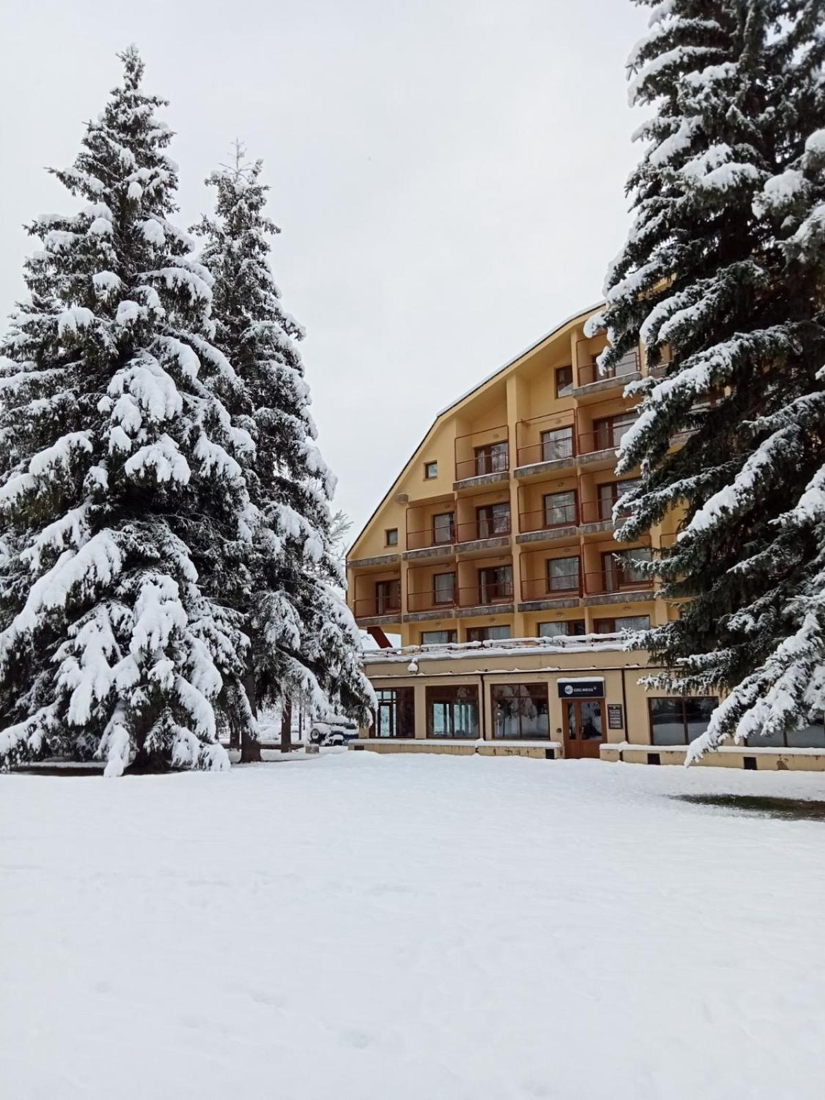 Apartamentos Snoe Edelweiss 塞尔勒 外观 照片